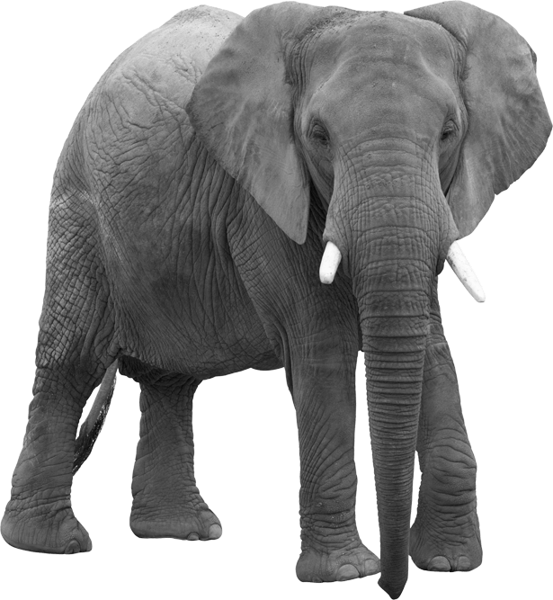 Bigwig | Creative & Digital Agency - Daniel Calder Image