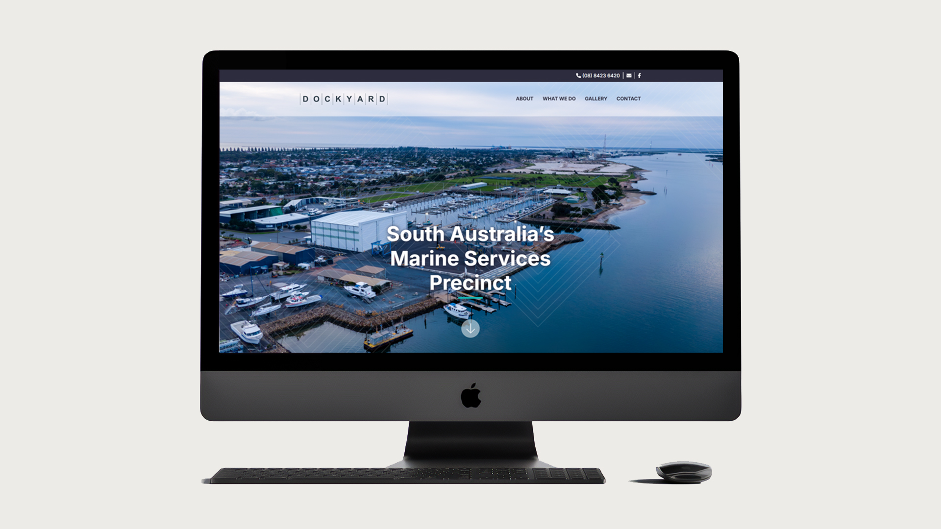 Bigwig | Creative & Digital Agency - Image